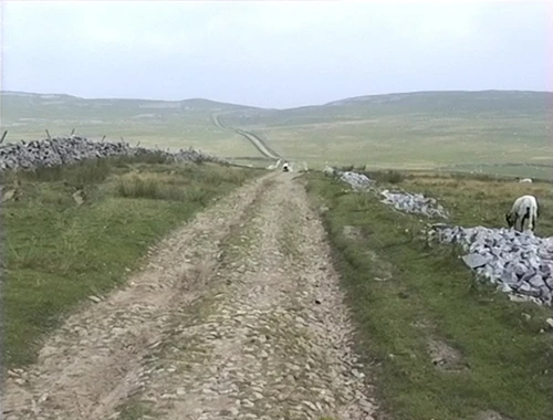 04 Aug 1999 · Yorkshire Dales & North Pennines: Day 3 Malham to Aysgarth Falls YH